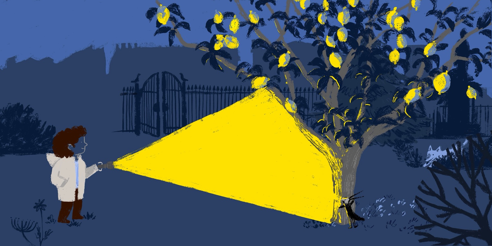 A child shines a torch at a tree hung with lemons, in a dark blue night garden