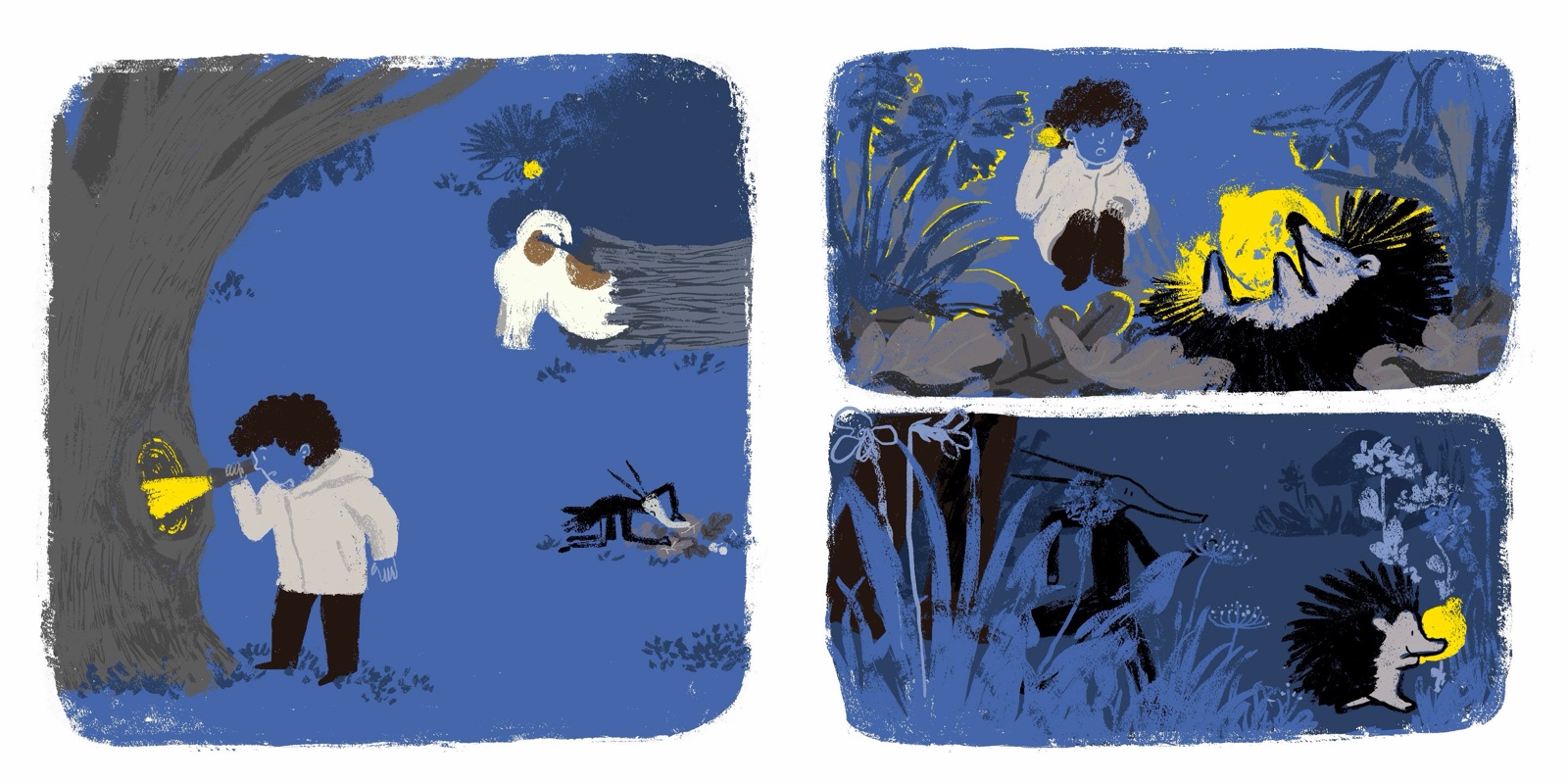 Night panels: a child with a torch in the garden; a hedgehog in a pile of lemons; figures in tall grass